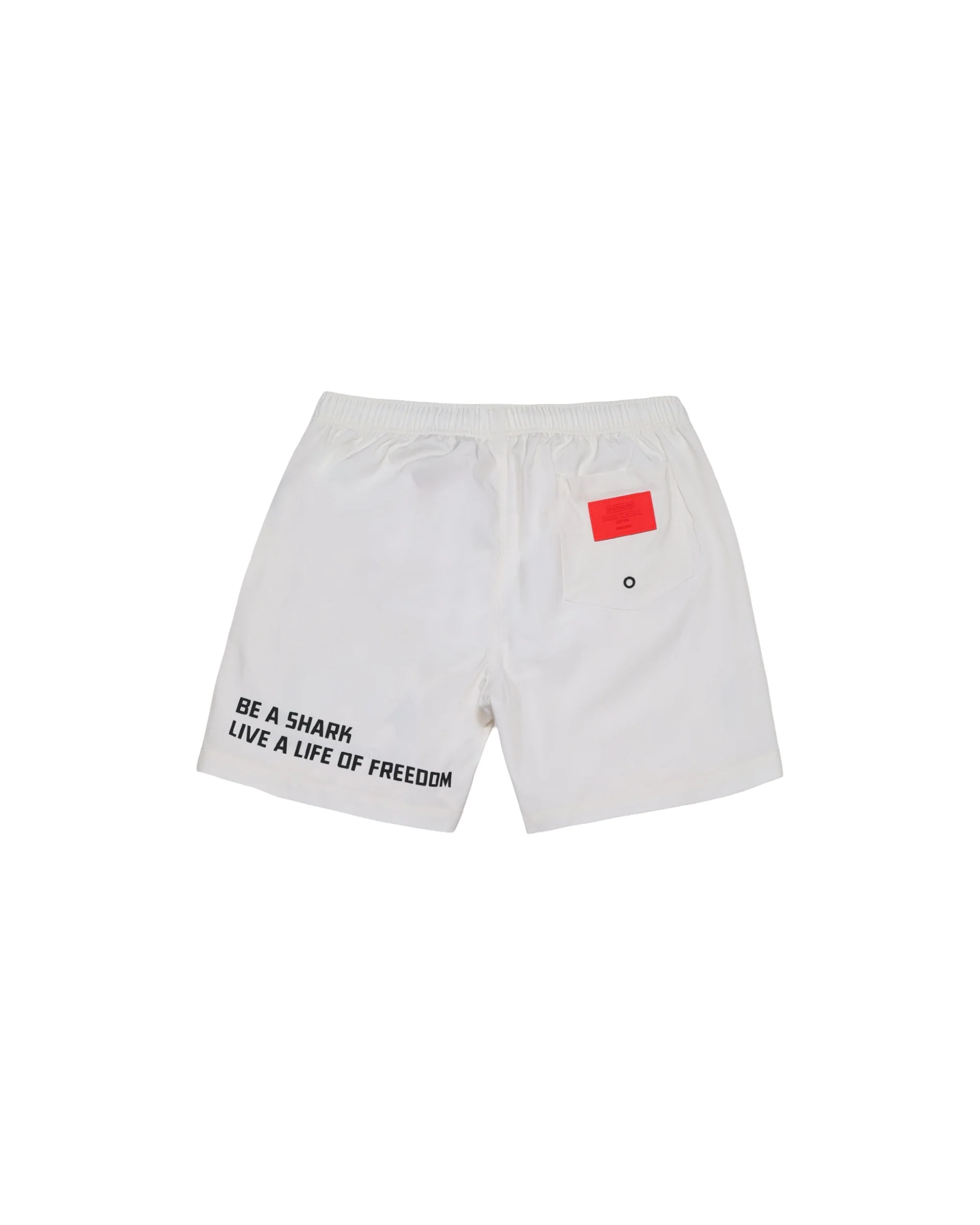 BE A SHARK SWIM TRUNKS - Image 2