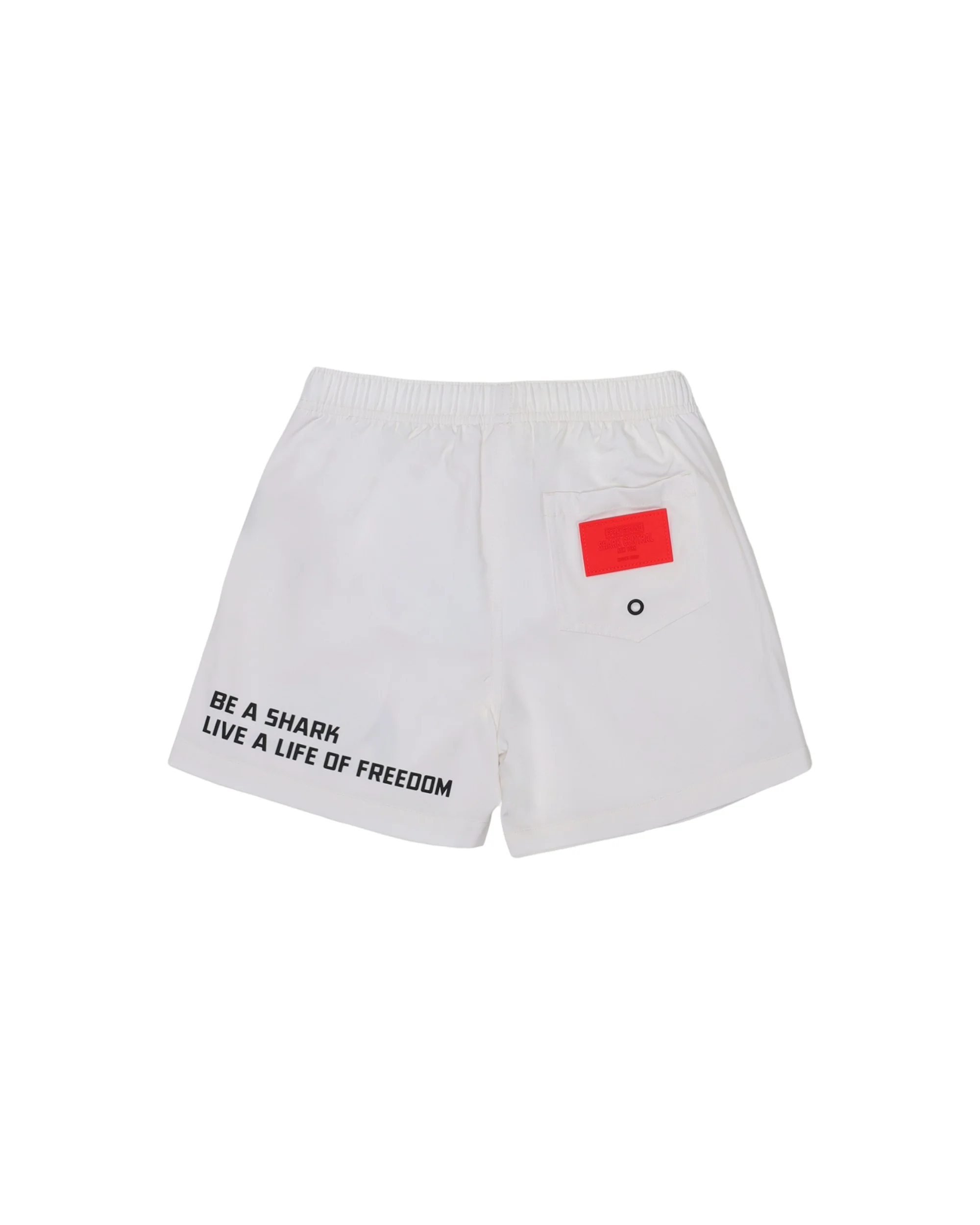 BE A SHARK SWIM TRUNKS IVORY - Image 2