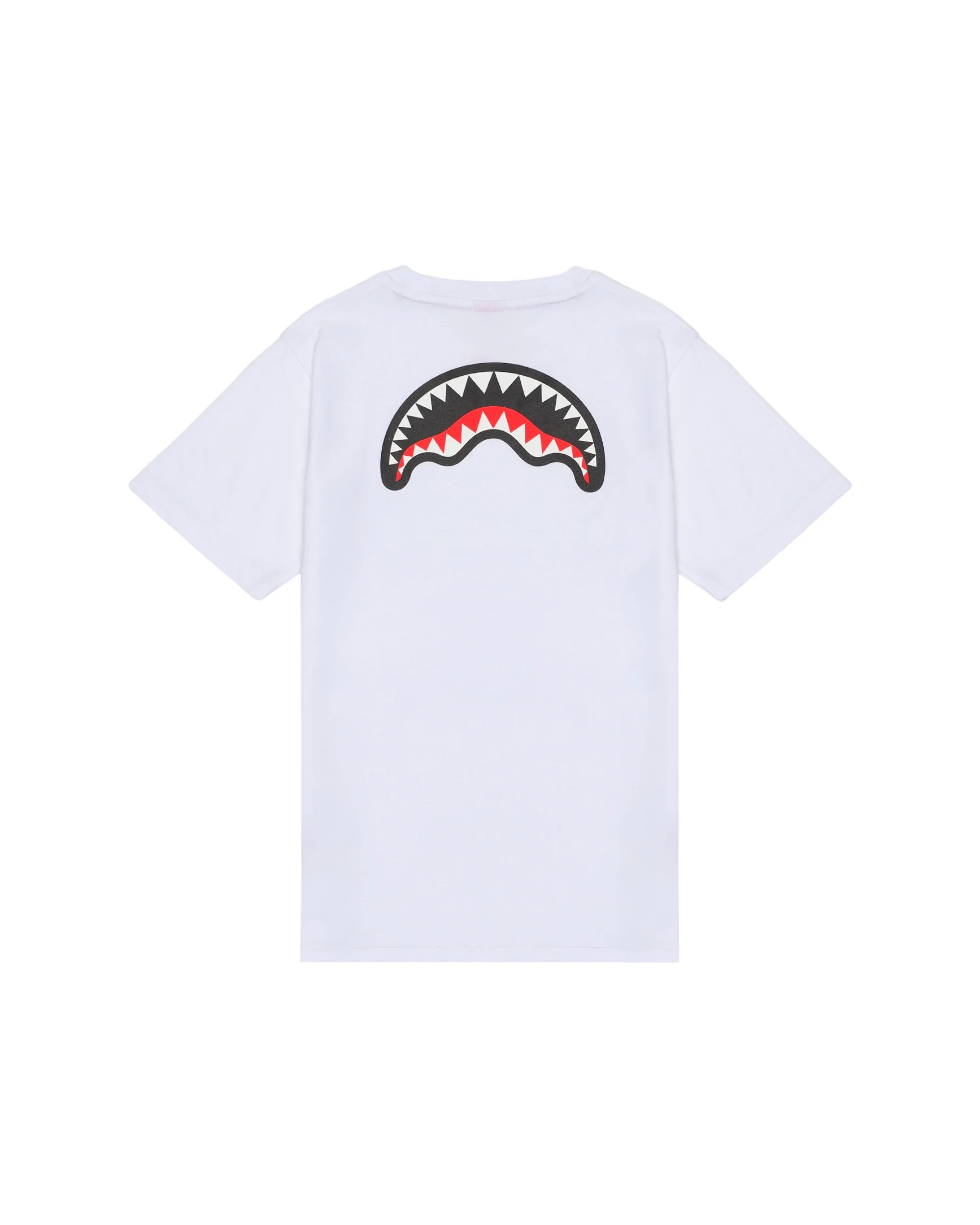 CATCH  BEAR REGULAR T-SHIRT WHT - Image 2
