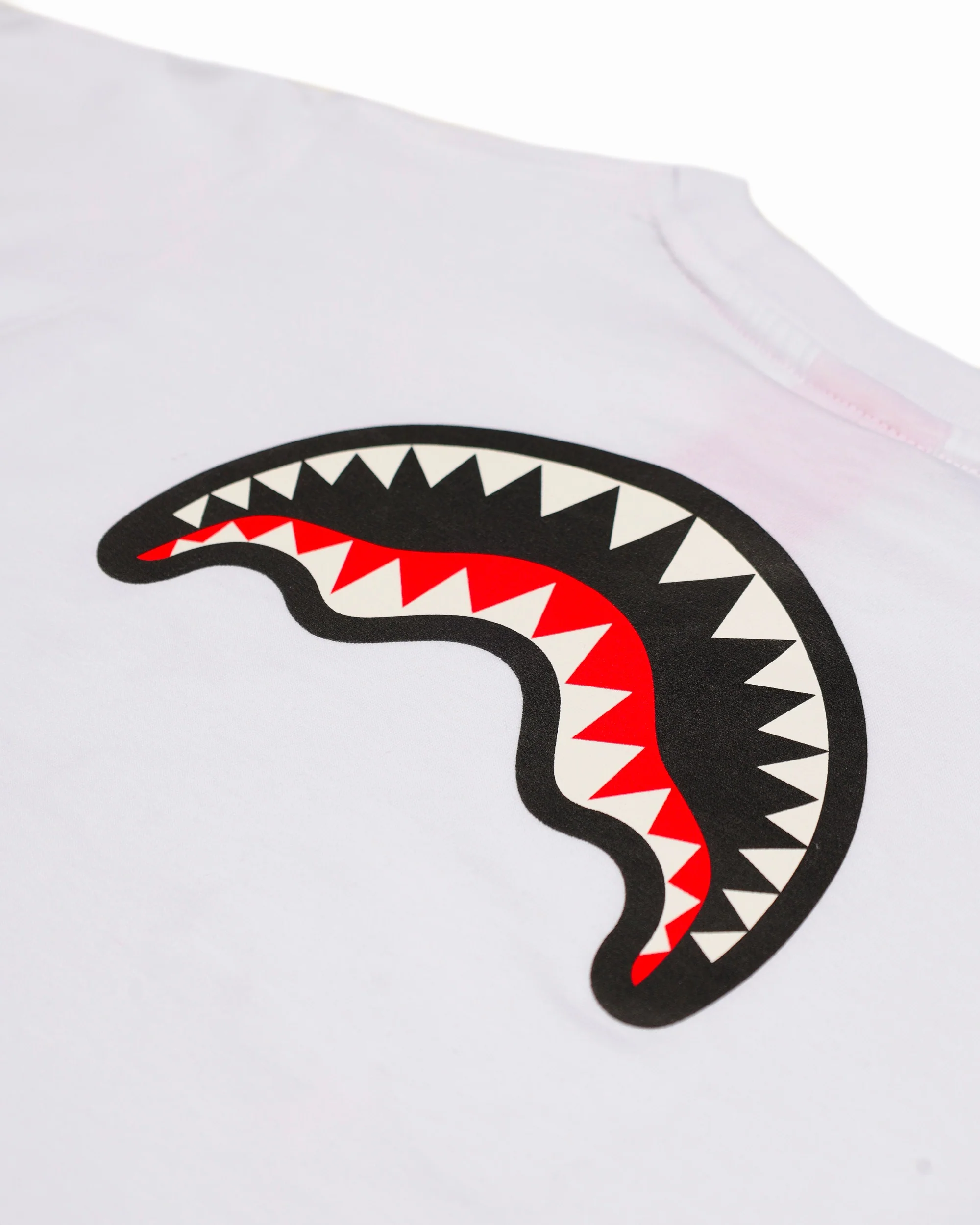 CATCH  BEAR REGULAR T-SHIRT WHT - Image 7