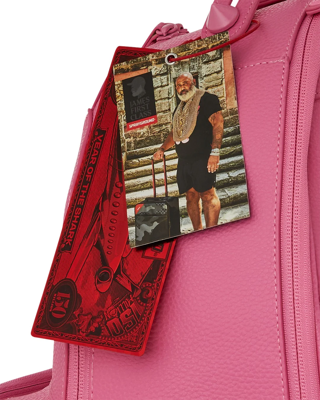 JAMES GLOBAL PINK CHATEAU BACKPACK - Image 11