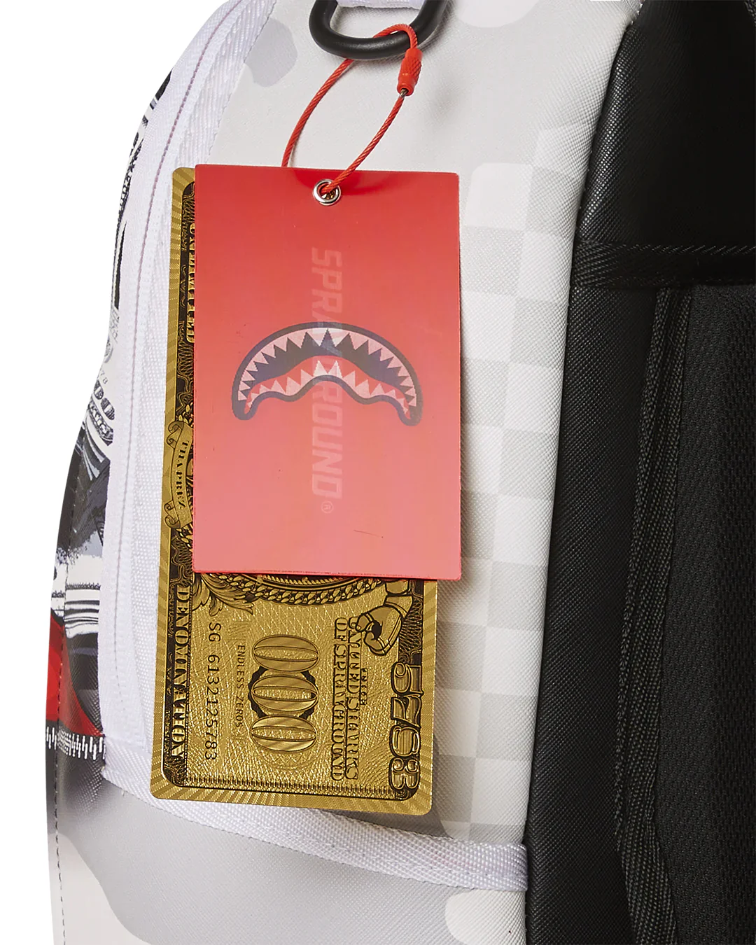 Money Stash Flap Dlxsv Backpack - Image 13