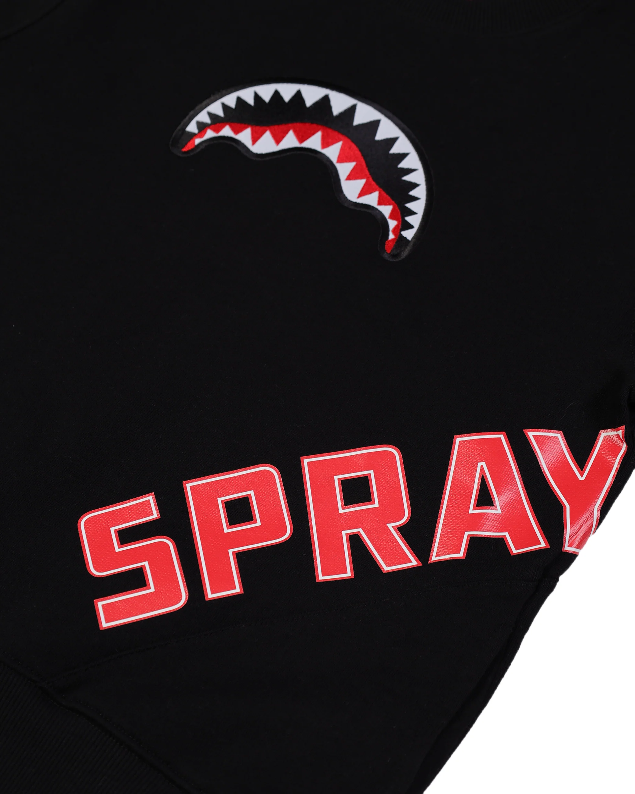 SPRAYGROUND DAILY REGULAR CREWNECK - Image 5