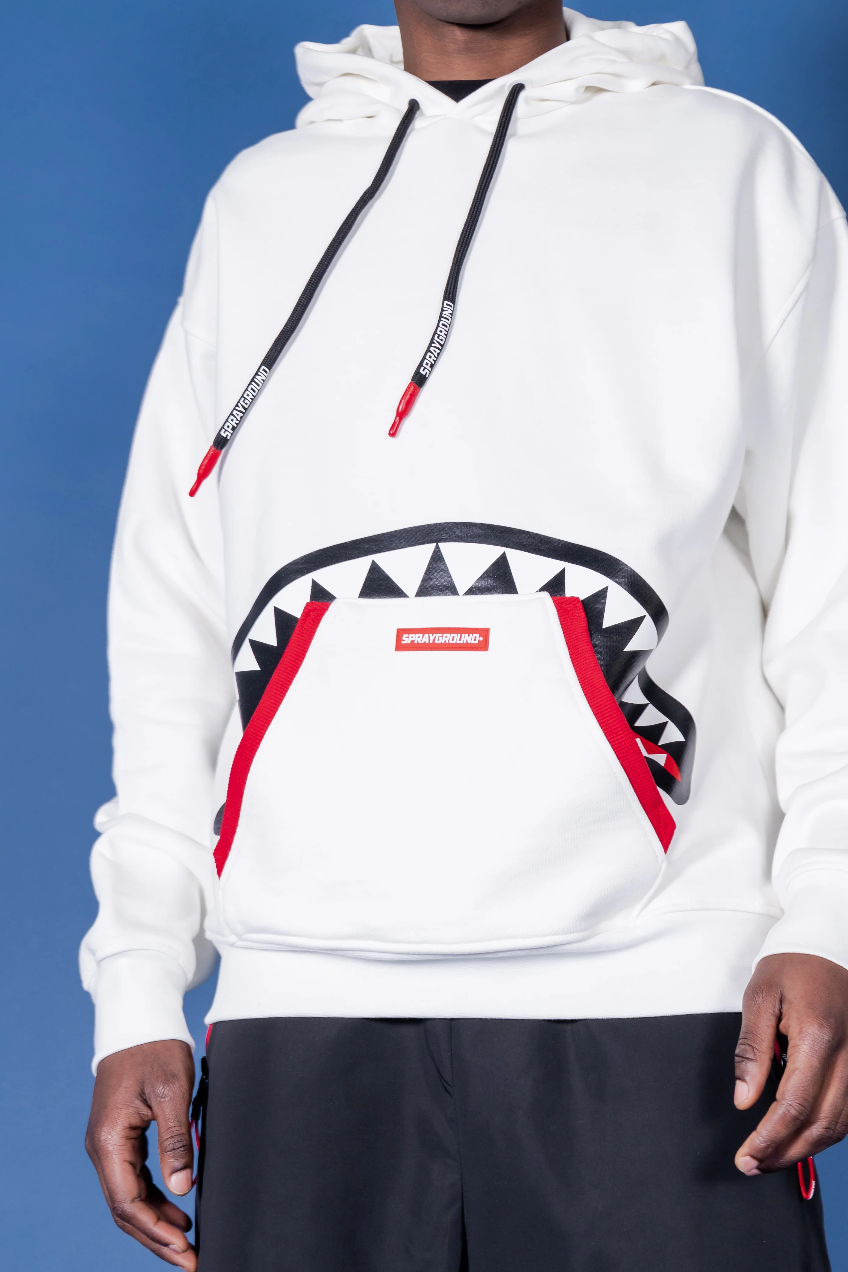 Hidden Shark - Image 3