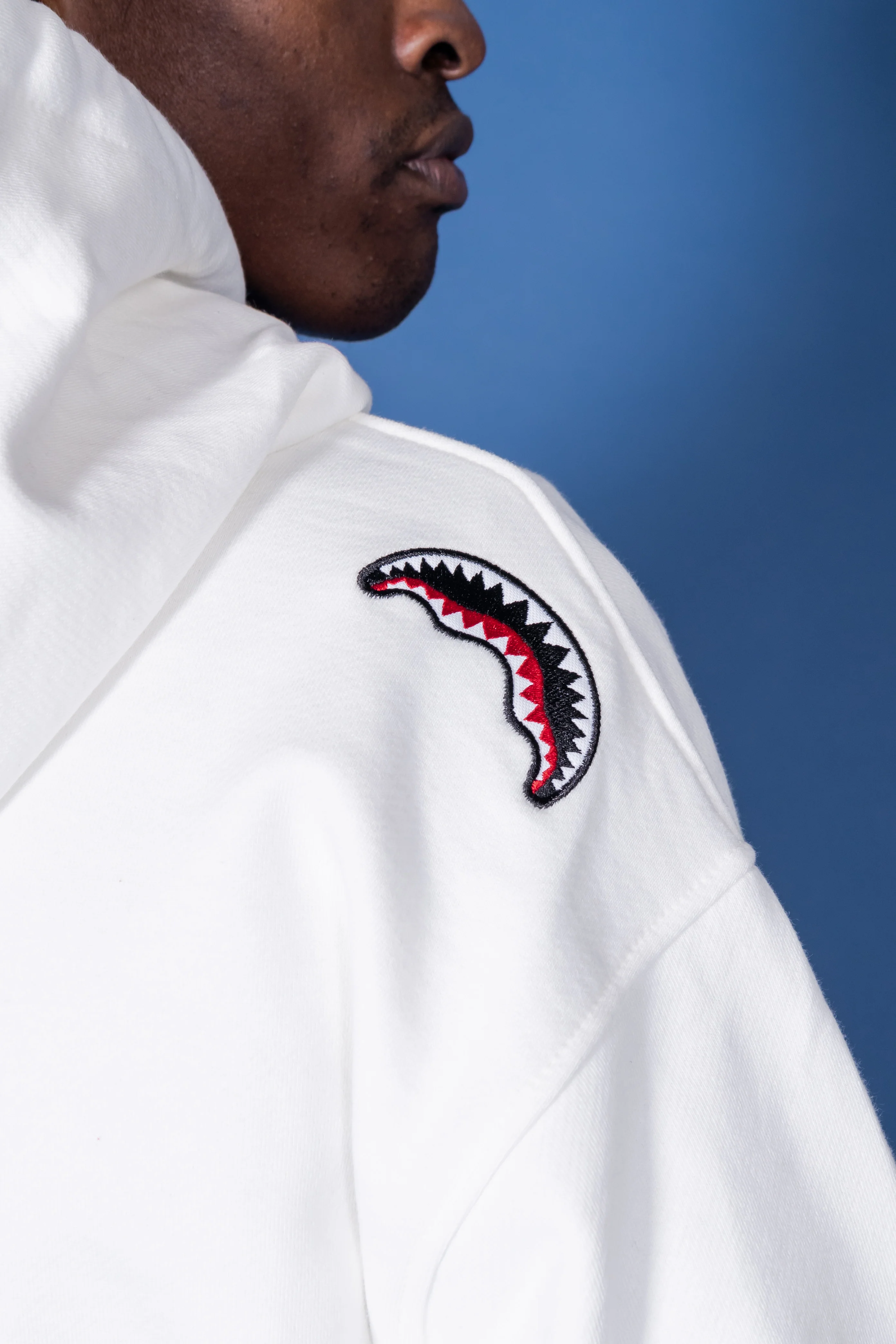 Hidden Shark - Image 5