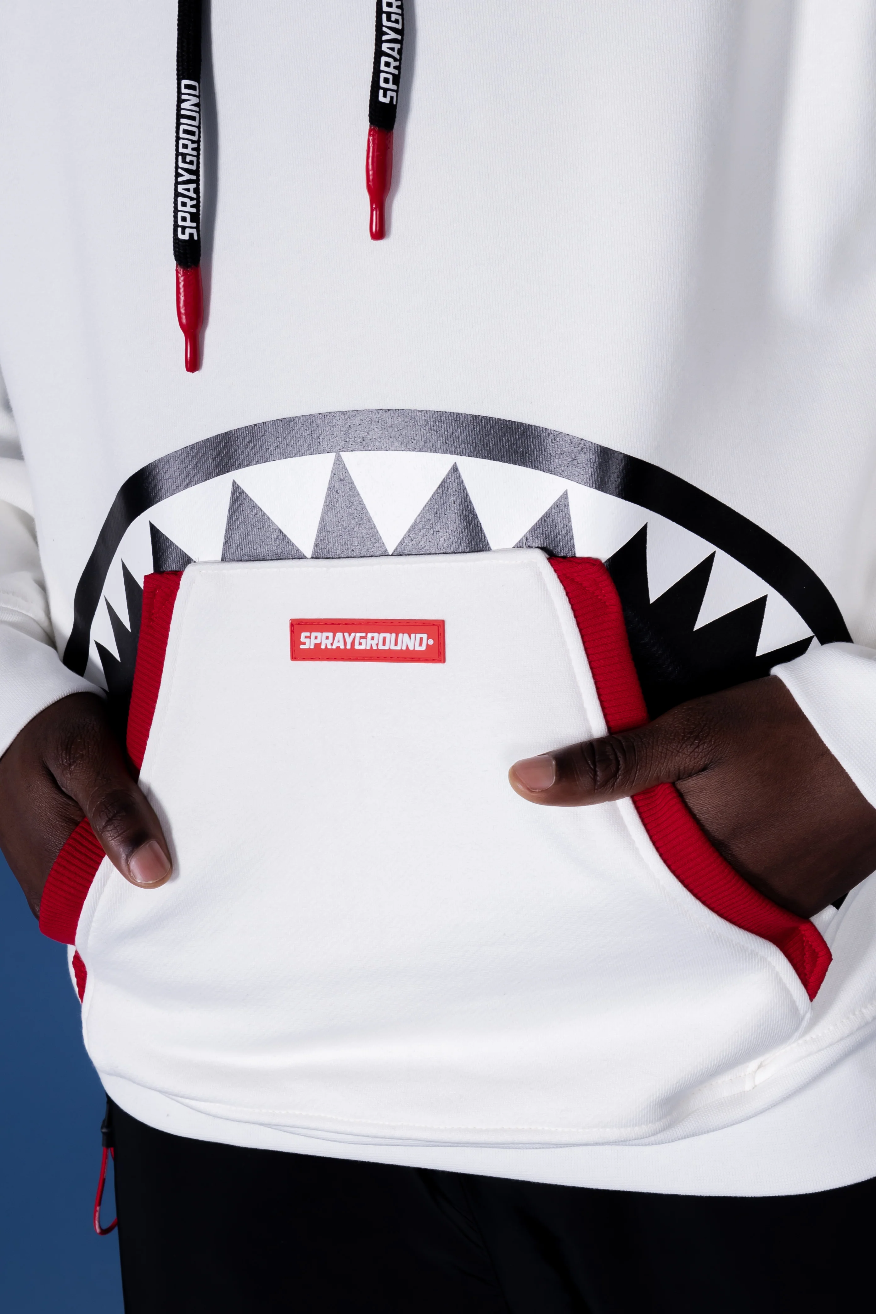 Hidden Shark - Image 7